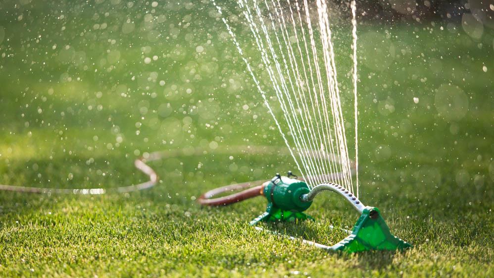 Quel est le meilleur moment pour arroser votre pelouse ?  Voici ce que disent les experts
