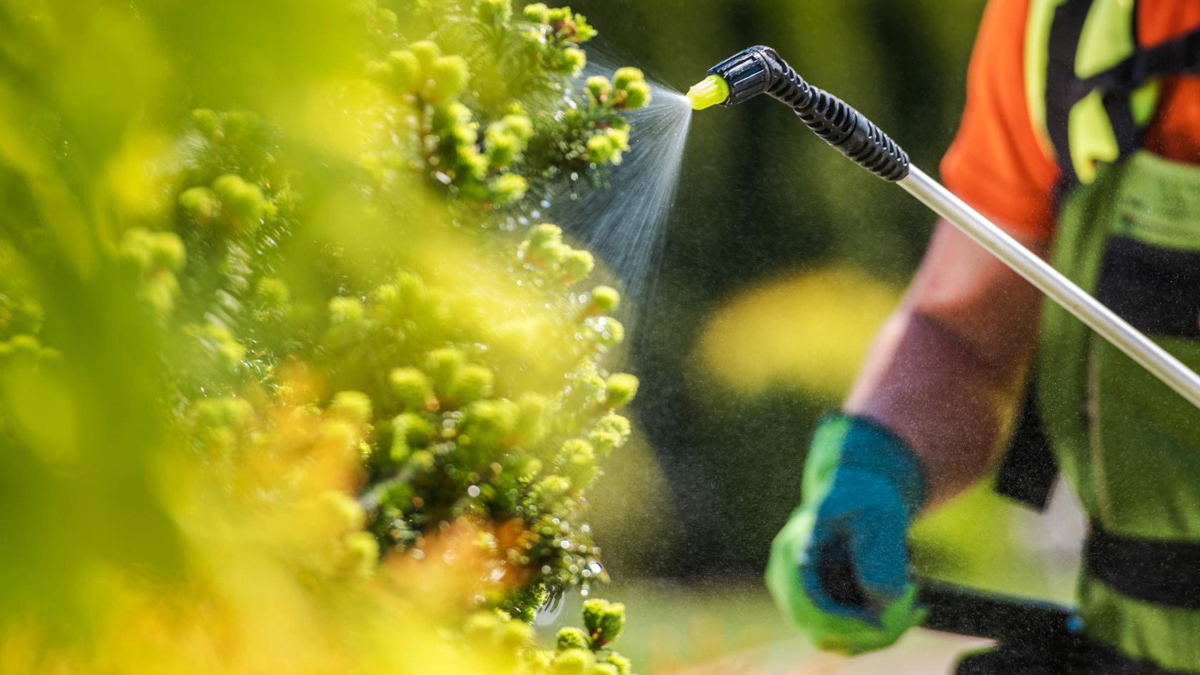 9 choses à considérer avant d'utiliser des pesticides dans votre jardin