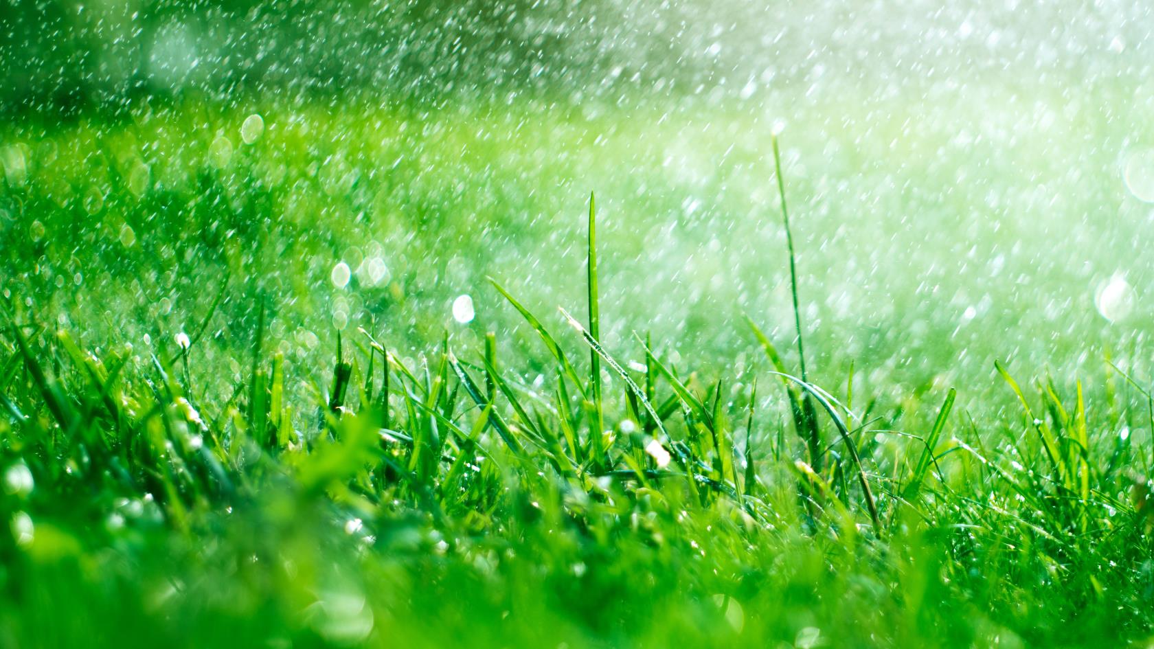 9 coisas a considerar antes de usar pesticida em seu quintal