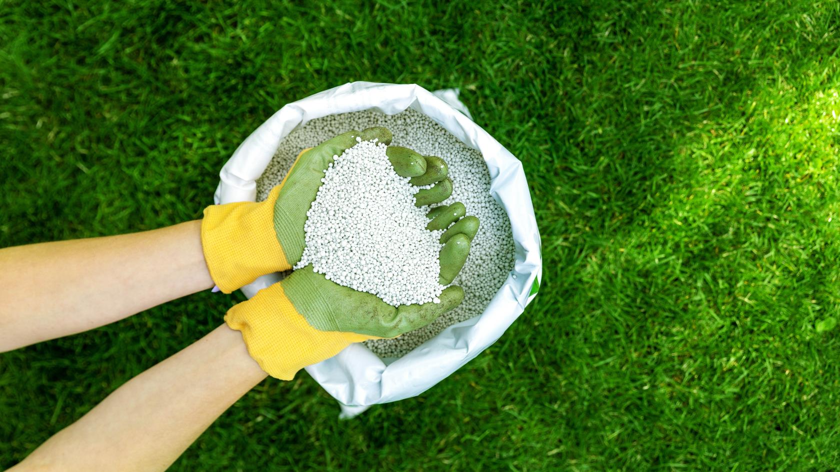 5 façons de se débarrasser des tiques de votre jardin