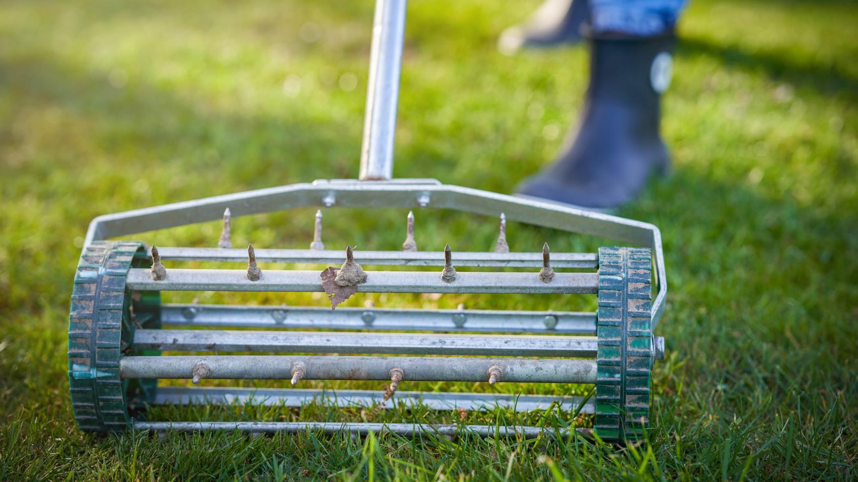 5 façons de se débarrasser de la mousse dans votre pelouse et de la garder verte
