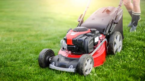 À quelle fréquence devez-vous arroser votre pelouse en période de canicule? Voici ce que disent les experts