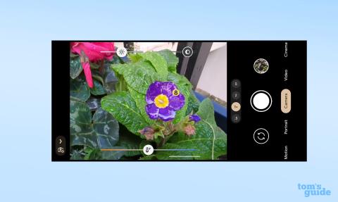 Este recurso do Google Pixel 7 Pro permite tirar closes extremos - veja como usá-lo