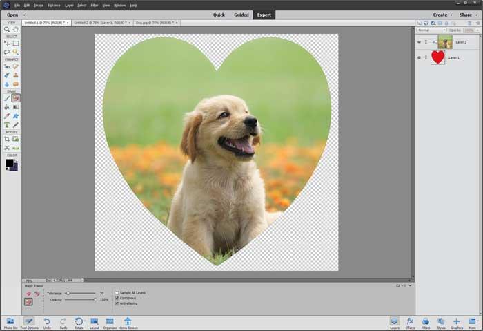Cắt ảnh thành hình dạng trong Photoshop Elements