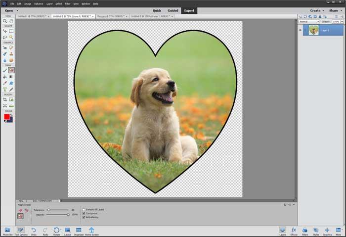 Cắt ảnh thành hình dạng trong Photoshop Elements