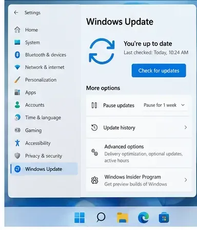 Windows Update 設定ページ（更新プログラムの確認、更新履歴、詳細オプションを含む）