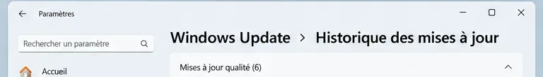 En-tête de la page Historique des mises à jour de Windows Update